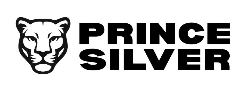 Prince Silver Black
